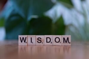tomoson learning top reasons listed